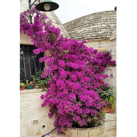 Trullo Ai 9 Ulivi *